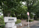 都立武蔵野公園の画像