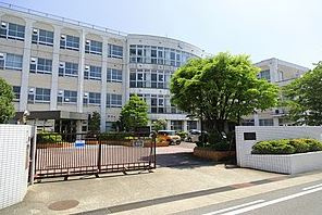 の画像
