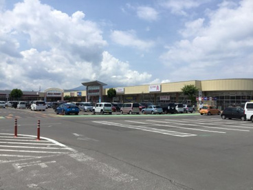 ザ・ダイソー イオンタウン弘前樋の口店の画像1