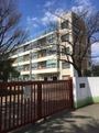 川口市立前川東小学校の画像1