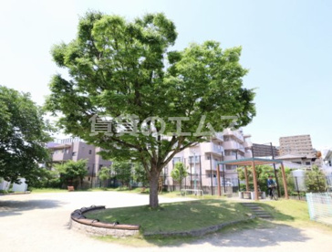 清水北公園の画像2