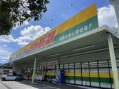 ディスカウントセンタージャパン 三田店