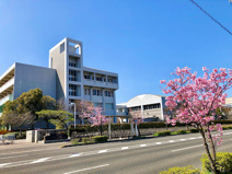 香川県立高松桜井高等学校