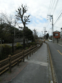 六辻水辺公園の画像1