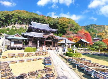 三室戸寺（入口）の画像1