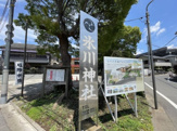 氷川神社
