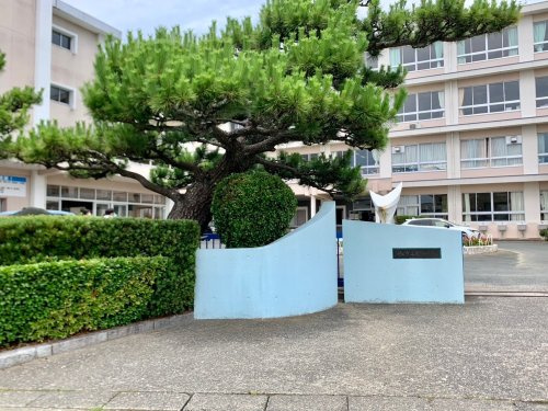 の画像