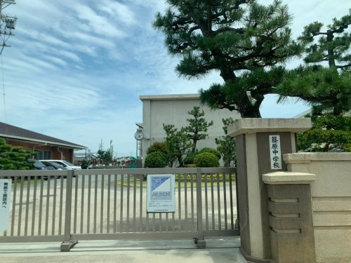 の画像