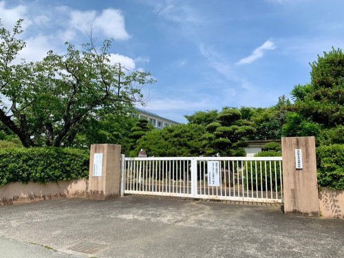 の画像