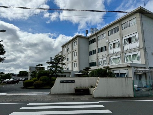 の画像