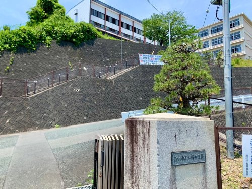 の画像