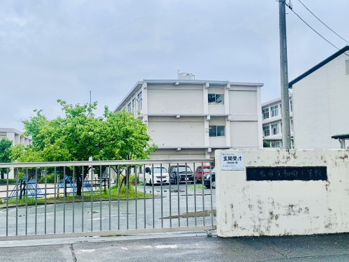 の画像