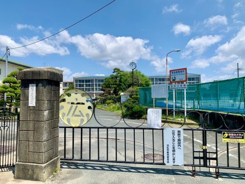 の画像
