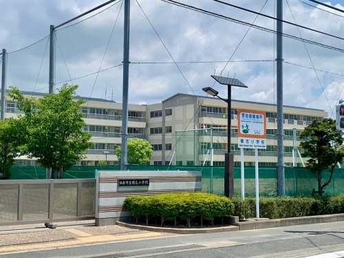 の画像