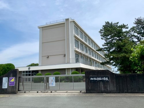 の画像