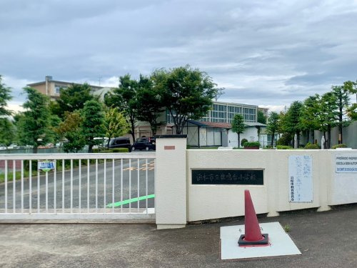 の画像