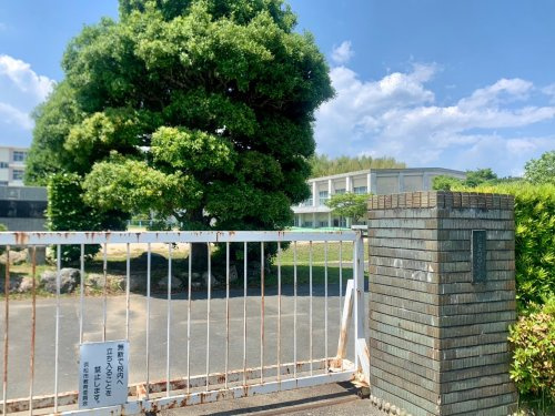 の画像