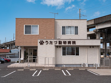うたづ動物病院の画像1