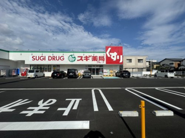スギドラッグ 駿河広野店の画像1