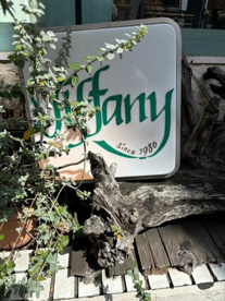 ティファニーの画像4