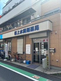 桜上水調剤薬局の画像2