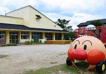 府中こども園