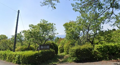 梅公園の画像1