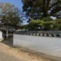 蓮成寺