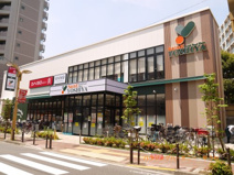 SainE（セーヌ）よしや　ときわ台店