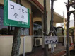 オアシスの画像1