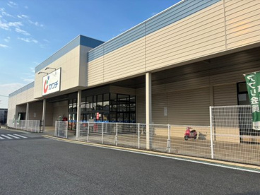 カワチ薬品　江南店の画像1