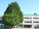 杉並区立 三谷小学校の画像