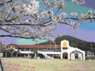 陶こども園
