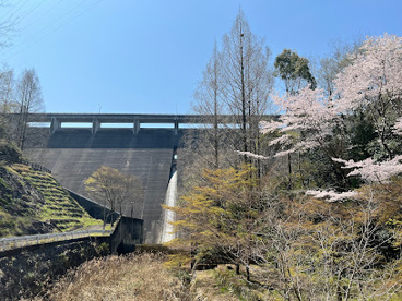 田万ダムの画像1