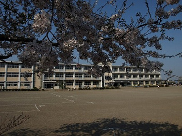下野市立 薬師寺小学校の画像1