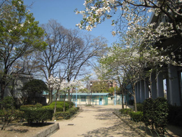 瑞光寺公園の画像1