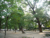十三公園