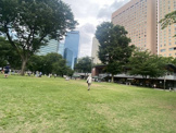 公園 新宿中央公園