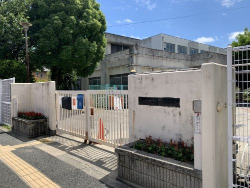の画像