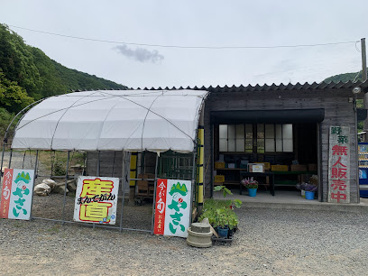 山賊村の画像1