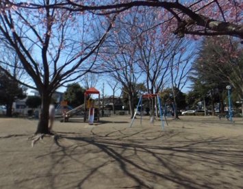 中居公園の画像1