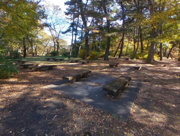 鳥川河川敷総合レクレーション基地公園の画像1
