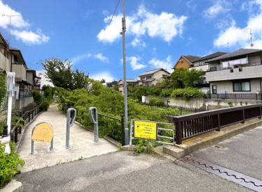 河川遊歩道【天神橋付近】の画像1