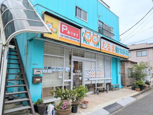 だるま動物病院