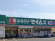 ドラッグセイムス 金子店の画像