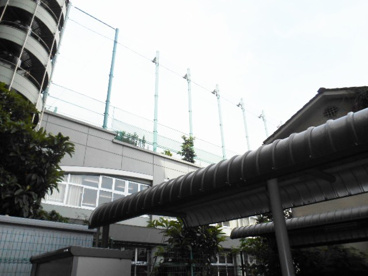 品川区立　戸越台中学校の画像3