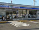 ローソン・スリーエフ 入間上小谷田店の画像