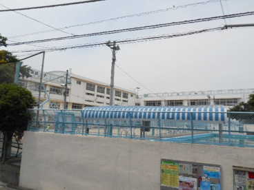 品川区立 宮前小学校の画像3