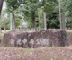 新光中央公園の画像