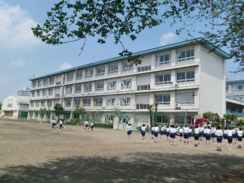 の画像